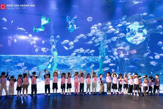 CÙNG CÁC HOMER NHÍ CLB JOLLY STEPS KHÁM PHÁ THẾ GIỚI THUỶ CUNG SỐNG ĐỘNG