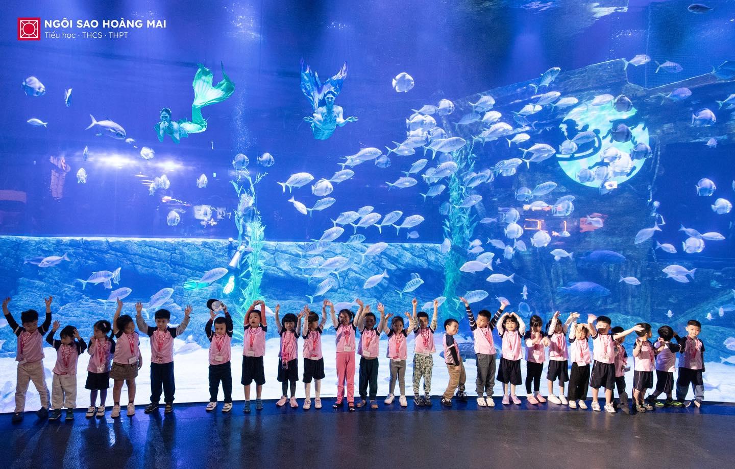 CÙNG CÁC HOMER NHÍ CLB JOLLY STEPS KHÁM PHÁ THẾ GIỚI THUỶ CUNG SỐNG ĐỘNG