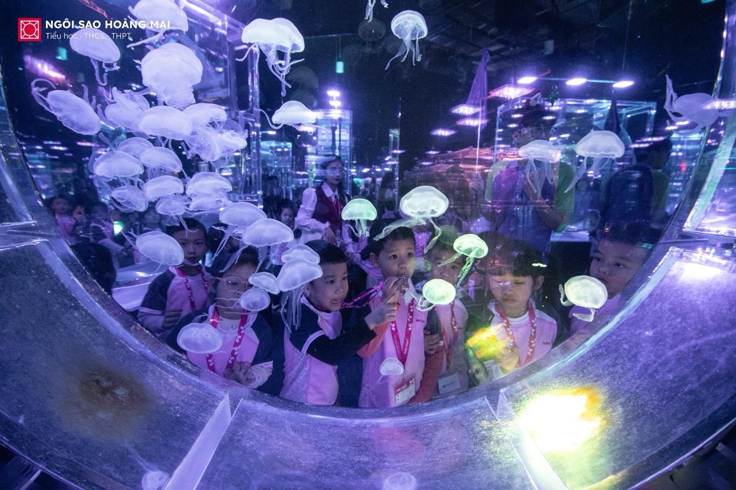 590091226_790650320675191_980545993435752619_n