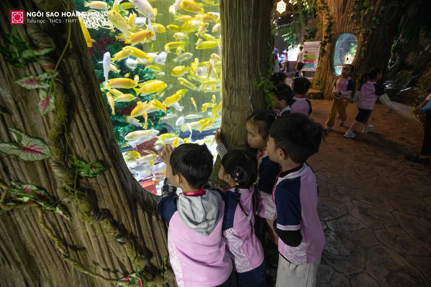 591407683_790650460675177_4712971439844781016_n